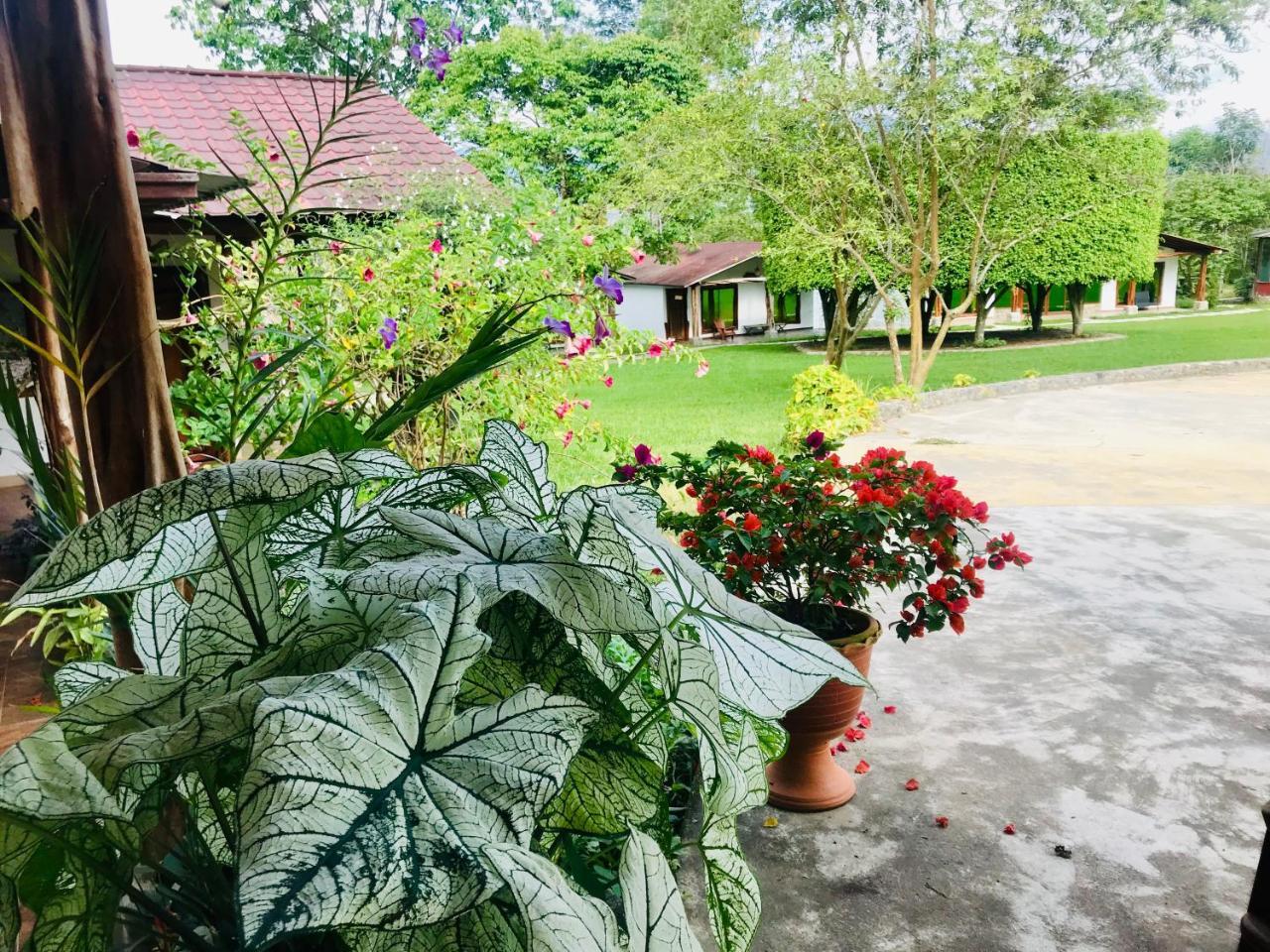 Hosteria Tierra Dorada Yantzaza Dış mekan fotoğraf